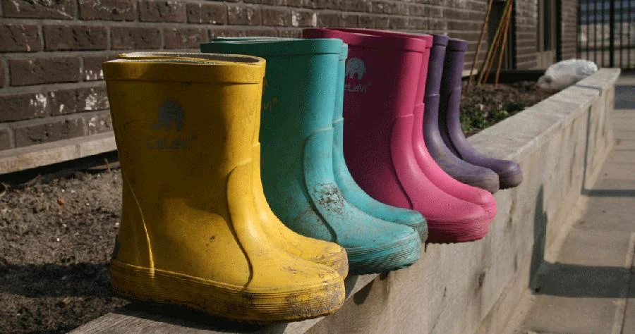 De leukste kinderopvang van Delft: Plukkebol