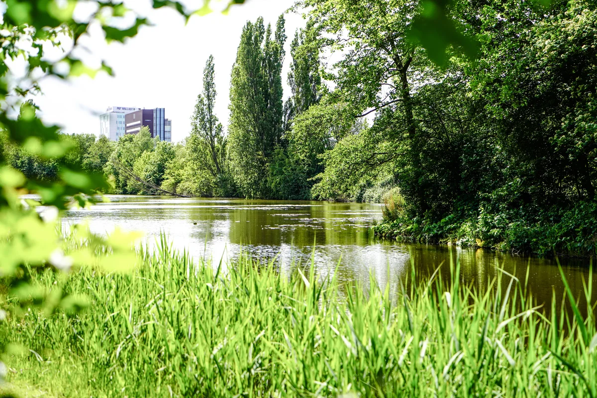 Nieuwe woningen Grasbuurt deze zomer in de verkoop