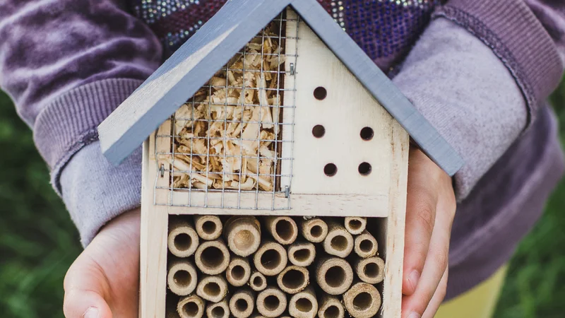 Zelf aan de slag in jouw tuin van de toekomst